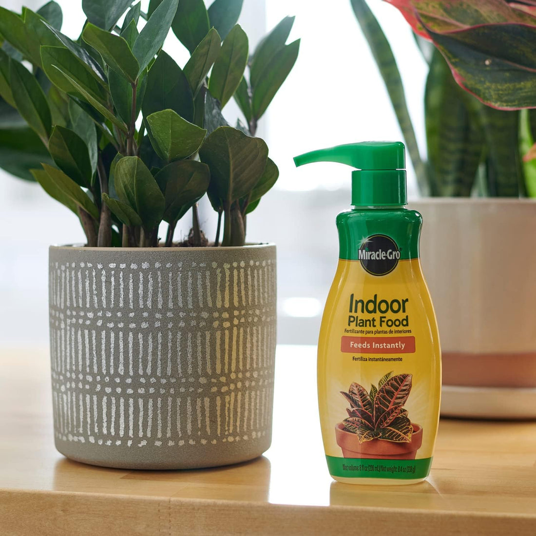 Give Your Indoor Plants the Miracle They Deserve: Miracle-Gro Indoor Plant Food
