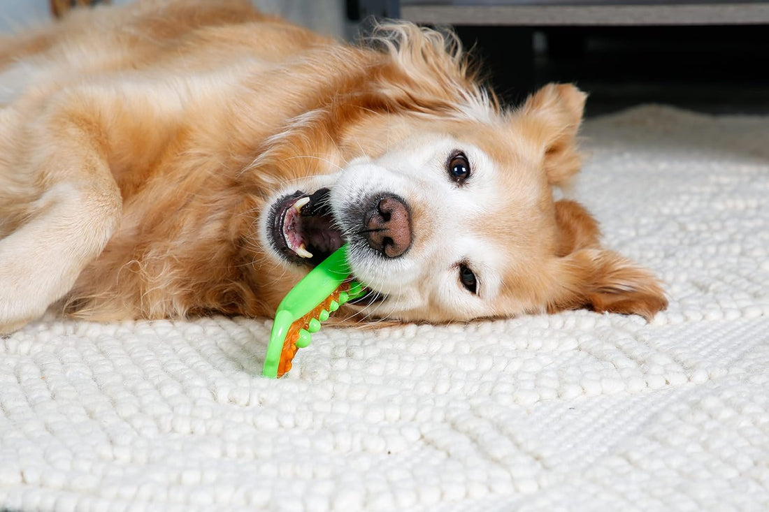 Happy Teeth, Happy Dog: Hartz Chew 'n Clean
