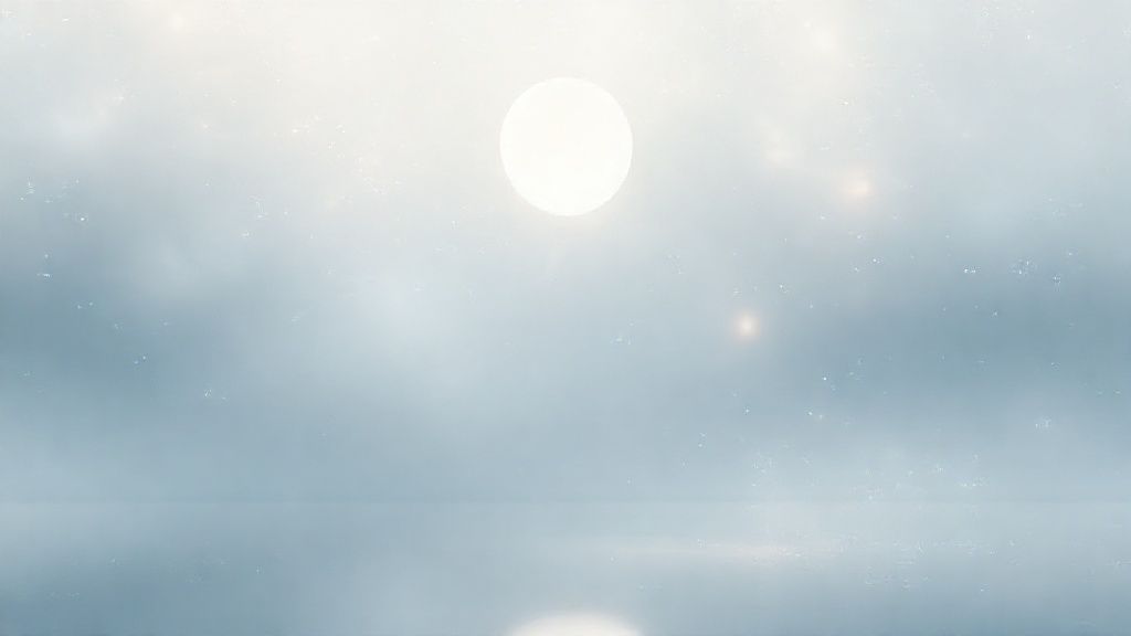 روتين العناية بالبشرة: دليلك الشامل لبشرة صحية ومشرقة من HERBIFLIX