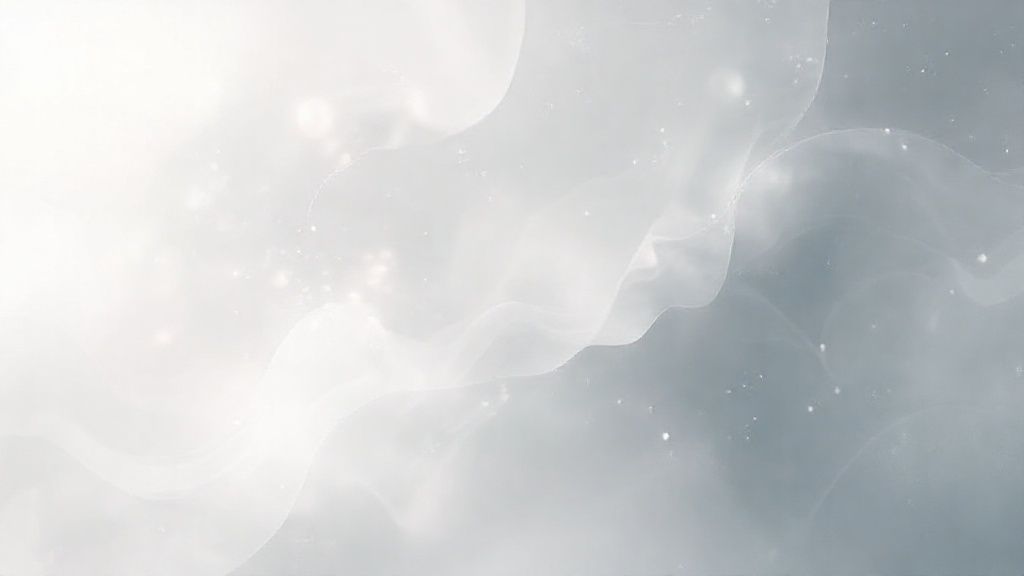 فوائد الكمون للكرش: هل هو السر لخسارة الوزن؟ واكتشف قوة الحبة السوداء مع هيربفليكس