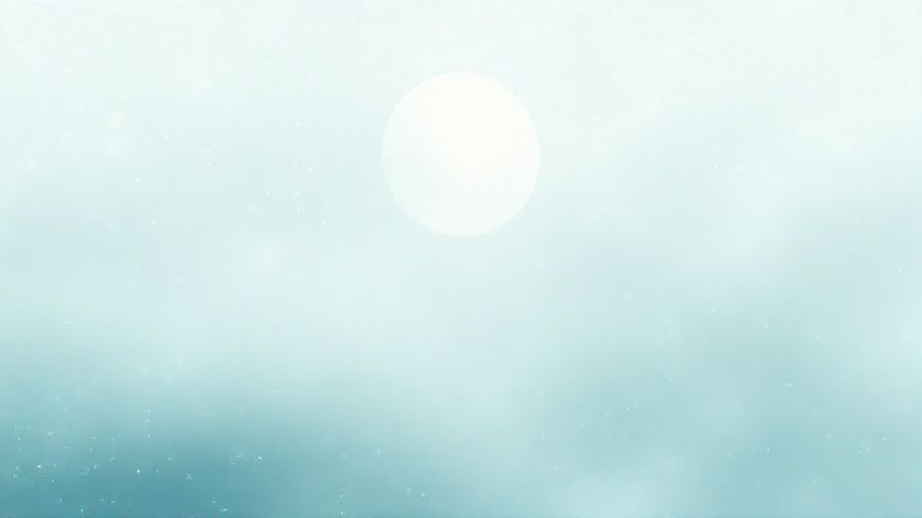 سر نضارة البشرة الدائمة: دليلك الشامل ومنتجات تثق بها من هيربفليكس