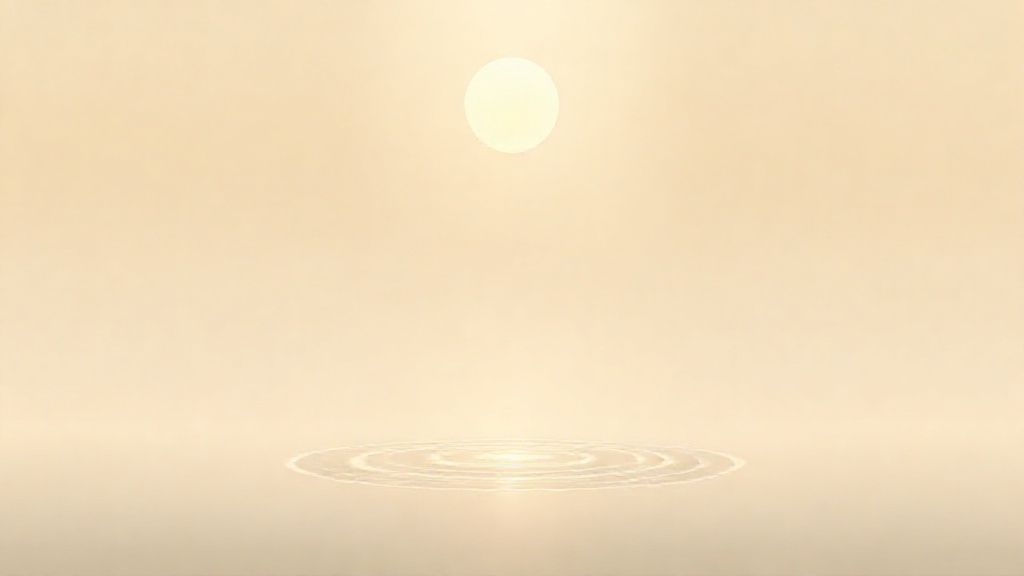 سنا مكي حبوب: دليلك الشامل لتطهير الجسم ودعم الهضم مع Herbiflix