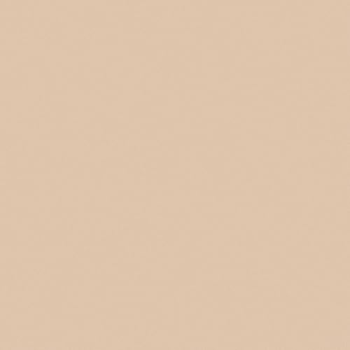 Sally Hansen Airbrush Legs Lotion - Fairest Shade - 2 Pack (4 Oz Each)