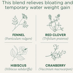 Traditional Medicinals Tm Weightless Cranberry 16 Tea