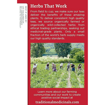 Traditional Medicinals Teas Organic Echinacea Plus Elderberry Tea, Elder 16 Bags (Pack Of 1)