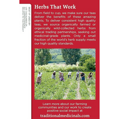 Traditional Medicinals Teas Organic Echinacea Plus Elderberry Tea, Elder 16 Bags (Pack Of 1)