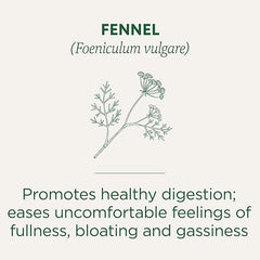 Traditional Medicinals Fennel Herbal Tea Organic, 16 CT
