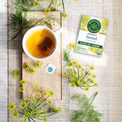 Traditional Medicinals Fennel Herbal Tea Organic, 16 CT