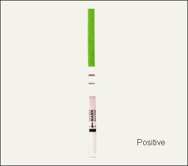 BBT Basal Thermometer (Centigrade, Flexible Tip) & 30 Ovulation Test Strips Combo Kit