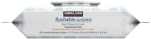 Kirkland Signature Flushable Moist Wipes - 632 Count White Fast Clean