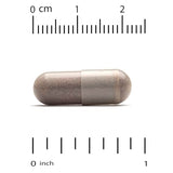 California Gold Nutrition Probiotic UTI Support with Cranberry Extract and FOS 60 Veggie Capsules