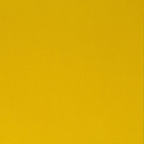 Winsor & Newton Azo Yellow Medium Professional Acrylic Paint (60ml)