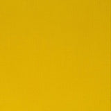 Winsor & Newton Azo Yellow Medium Professional Acrylic Paint (60ml)