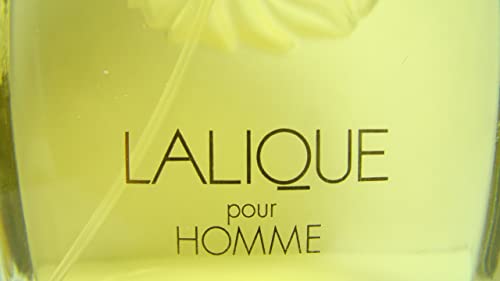 Lalique Encre Noire for Men Eau de Parfum (125ml)