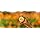 Weleda Calendula All-Purpose Balm - Multi-Use Soothing Relief