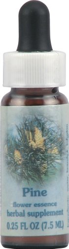 Pine Healing Herb Flower Essence Supplement Dropper - 0.25 Fluid Ounce Forgiveness Aid