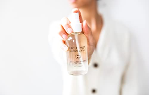 Little Seed Farm Balancing Facial Mist & Toner - Witch Hazel Toner for Pore Minimizing, 4.0 Ounce