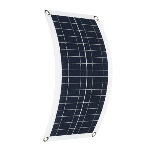 1000W High-Efficiency Solar Panel Kit with 12V Lithium Charge Controller