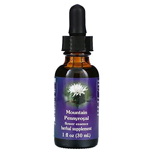 Mountain Pennyroyal Flower Essence - 1 fl oz for Protection & Mental Clarity