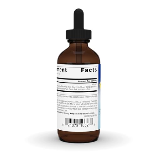 Planetary Herbals Well Child Alcohol-Free Echinacea-Elderberry Syrup - 2 Fl Oz