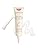 Embryolisse Smoothing Eye Contour Care: Anti-Wrinkle Eye Cream (15ml)