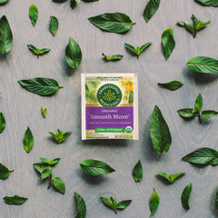 Traditional Medicinals Smooth Move Peppermint, 16 Teabags