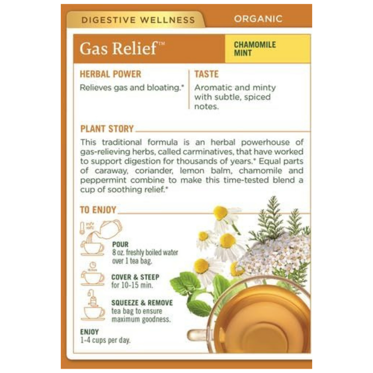 Traditional Medicinals Gas Relief, 16 Teabags