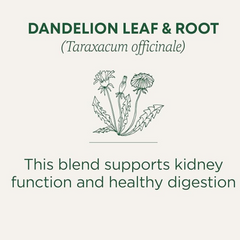 Traditional Medicinals, Herbal Teas, Organic Roasted Dandelion Root, Naturally Caffeine Free, 16 Wrapped Tea Bags, .85 oz (24 g)