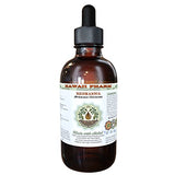 Organic Rehmannia Alcohol-Free Liquid Extract - Herbal Supplement 2 fl.oz