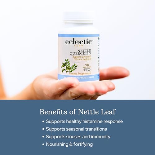 Eclectic Institute Raw Freeze-Dried Nettle Leaf Supplement - Sinus Support, Histamine Response & Respiratory Wellness - 90 Capsules