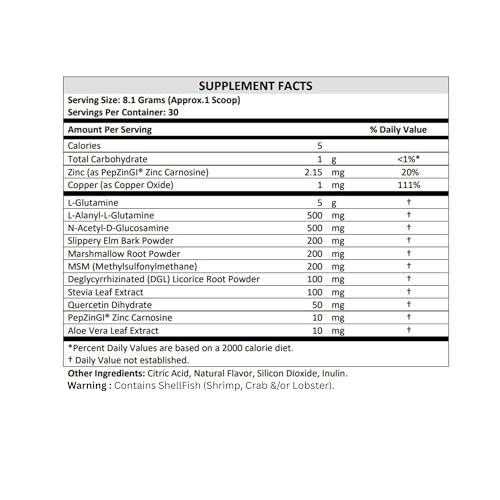 TERRA ORIGIN Healthy Gut Berry - Supports Digestion & Gut Health with L-Glutamine, Zinc & Herbal Extracts