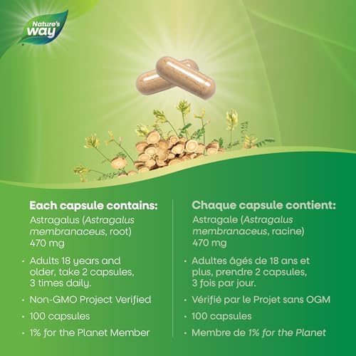 Nature's Way Astragalus Root, Traditional Immune Support*, 1,410 mg per 3-Capsule Serving, Non-GMO Project Verified, Vegan, 100 Capsules (Packaging May Vary)