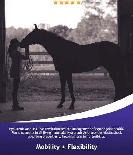 Hyalogic Equine Hyaluronic Acid (HA) Joint & Cartilage Supplement for Horses