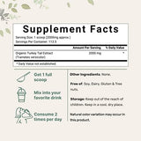 Organic Turkey Tail Mushroom Powder (50:1 Extract) - Immune Support (8oz)