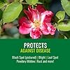 Bayer Advanced Rose & Flower Insect, Disease & Mite Control - 24 oz