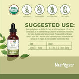 Oregano Oil Drops - 6 Month Supply | USDA Organic Oil of Oregano for Immune & Digestive Health | 1 Fl Oz