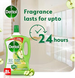 Dettol Power Floor Cleaner - Green Apple Scent (3L)