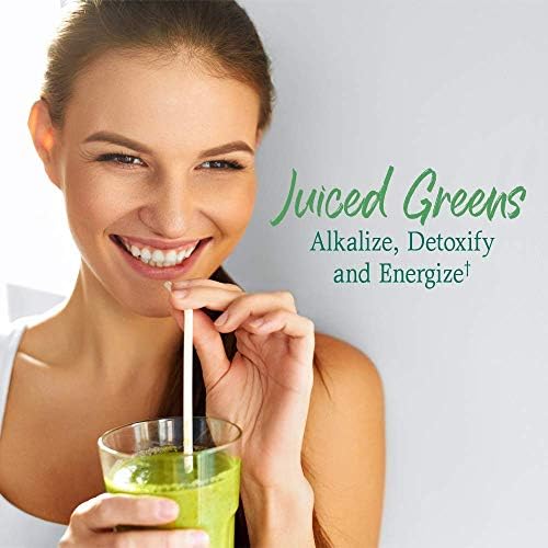 Garden of Life Raw Organic Perfect Food Green Superfood - 7.4 oz (209 g)