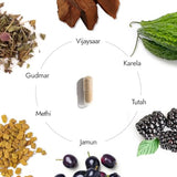 Kapiva 100% Natural Dia Free Capsules - Sugar Level Management (60 Count)