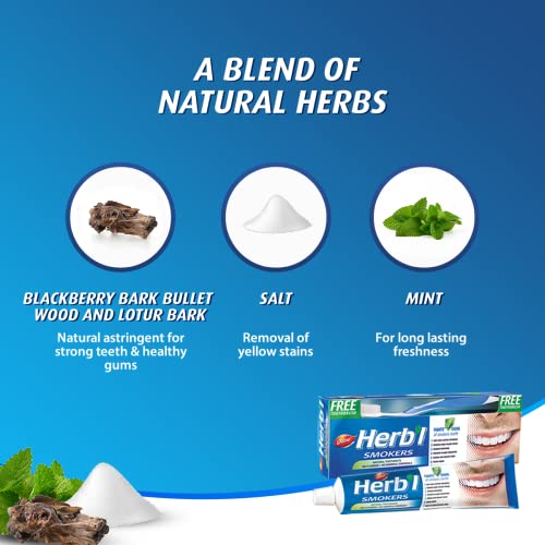 Dabur Herbal Smokers Natural Toothpaste with Salt, Mint & Blackberry - 150g