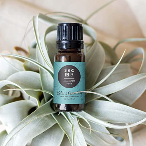 Edens Garden Stress Relief Essential Oil Synergy Blend 10ml | Calming Therapeutic Grade