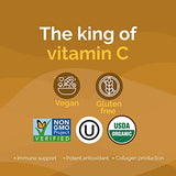 Zint Organic Camu Camu Powder - High Potency Vitamin C & Antioxidant Support, 3.5oz