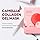 ROUND LAB Camellia Collagen Hydrogel Mask - 4 Pack