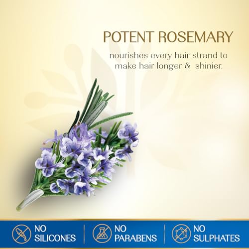 Herbsindia Rosemary & 7 Herbal Seeds Hair Oil - 280ml - For Longer, Shinier Hair - Silicone & Paraben Free