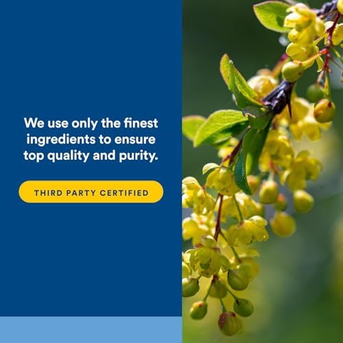WellBetX Berberine 500mg - 120 Capsules for Blood Sugar Support