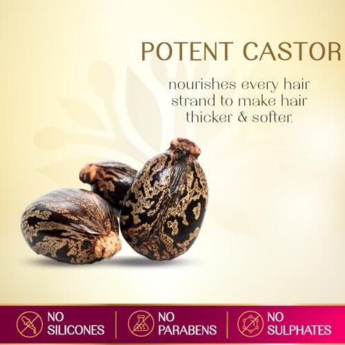 Herbsindia Castor & 7 Herbal Seeds Hair Oil - 280ml | Silicone & Paraben Free for Thicker Hair