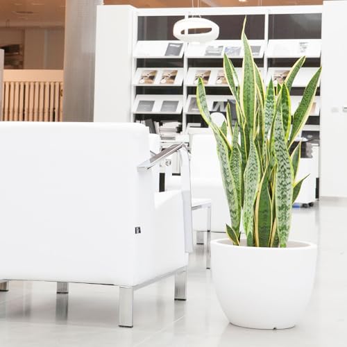 WELL HOME Ordesa Flower Pot – 30x34 cm White Ceramic Planter