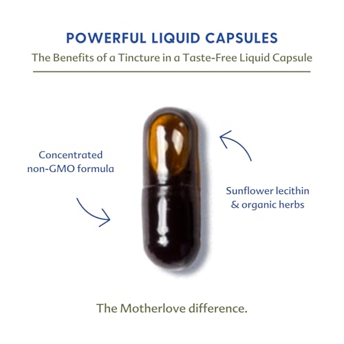 Motherlove More Milk Plus - Herbal Lactation Support Capsules (120 Count)