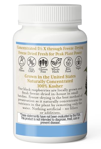 Black Raspberry FdV by Eclectic Institute | Freeze-Dried Berry Supplement
