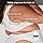 Advanced Clinicals Coconut Oil Cream: Deeply Moisturizing Lotion (2-Pack)